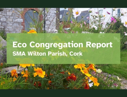 Eco Congregation Report